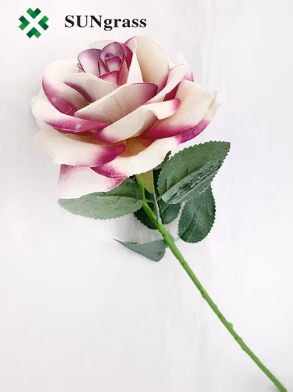 허브차 장미 우롱차 중국 맛 느슨한 잎 장미 꽃