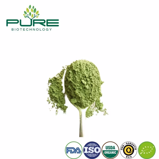 건강과 에너지를 위한 매직 프리미엄 녹차분말 말차